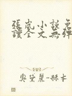 张岚小说免费阅读全文无弹窗