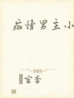 痴情男主小说