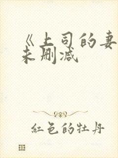 《上司的妻子》未删减