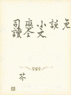 司恋小说免费阅读全文封面