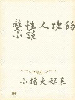 双性人攻的高h小说封面