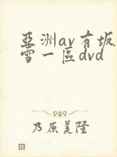 亚洲av有坂深雪一区dvd