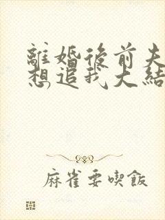 离婚后前夫总是想追我大结局