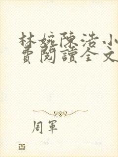 林婉陈浩小说免费阅读全文最新章节