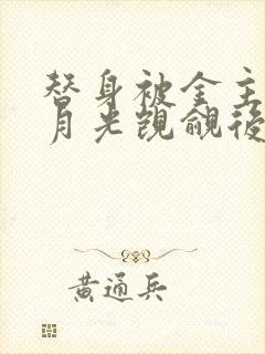 替身被金主的白月光觊觎后封面