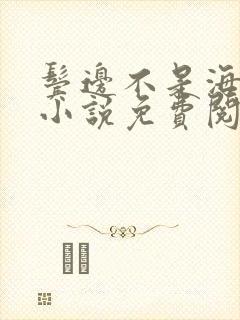 鬓边不是海棠红小说免费阅读封面