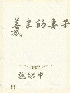 善良的妻子无删减封面