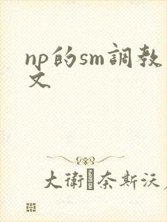 np的sm调教文
