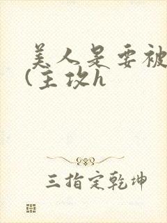 美人是要被日的(主攻h封面