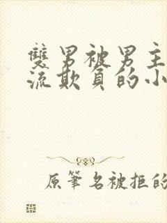 双男被男主们轮流欺负的小说封面