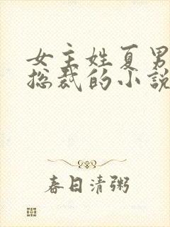 女主姓夏男主是总裁的小说