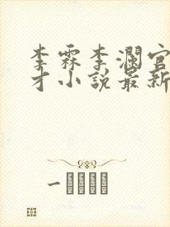 李霖李澜官场奇才小说最新更新封面