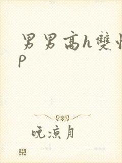 男男高h双性np封面