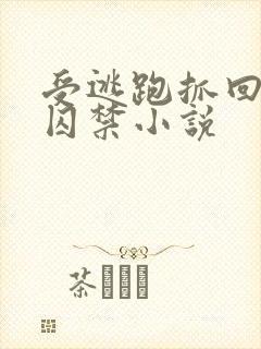 受逃跑抓回惩罚囚禁小说