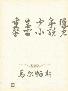 重生少年猎美赵馨雷小说免费阅读全