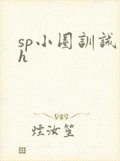 sp小圈训诫文h