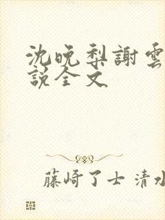 沈晚梨谢云迟小说全文封面