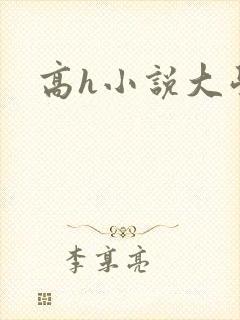 高h小说大学生封面