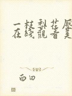 一枝梨花压海棠在线观看美剧