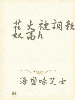 花火被调教成肉奴高h