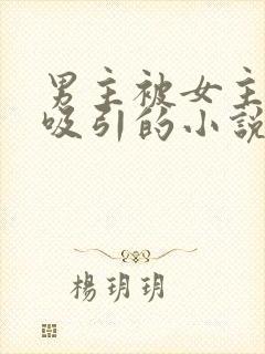 男主被女主深深吸引的小说