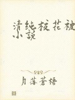 清纯校花被调教小说