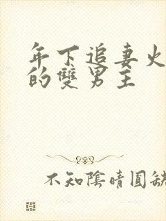 年下追妻火葬场的双男主