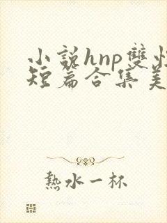 小说hnp双性短篇合集美人