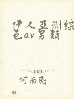 伊人亚洲综合网色av另类