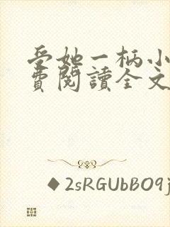 受她一柄小说免费阅读全文