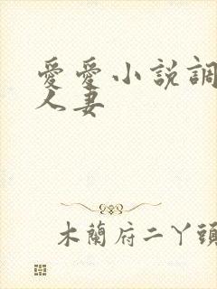 爱爱小说调教日人妻封面