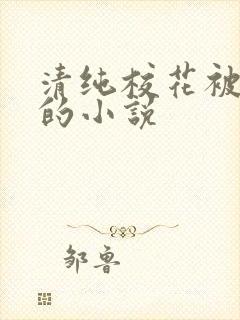 清纯校花被调教的小说