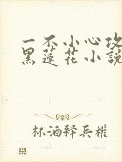 一不小心攻略了黑莲花小说