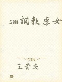 sm调教虐女文封面