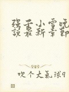 强子小雪晚晴小说最新章节阅读