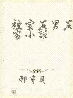 被室友男友破了处小说