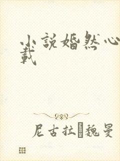 小说婚然心动下载