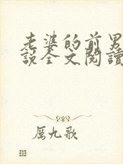 老婆的前男友小说全文阅读