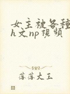 女主被各种调教h文np视频