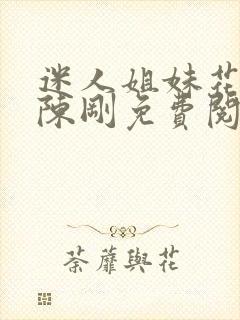 迷人姐妹花小说陈刚免费阅读无弹窗