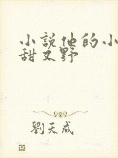 小说他的小祖宗甜又野