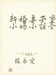新婚妻子变成了小妈小说全文阅读