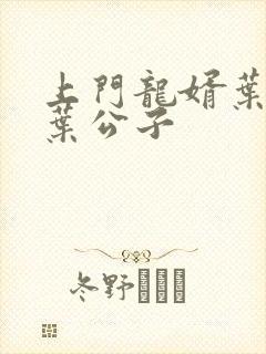 上门龙婿叶辰 叶公子