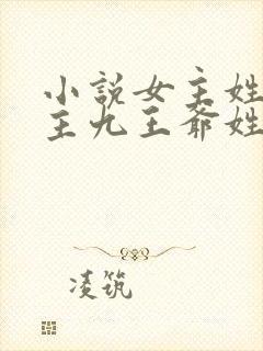 小说女主姓颜男主九王爷姓寒封面