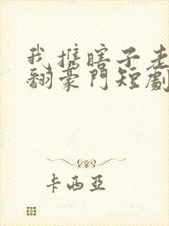 我携瞎子老公掀翻豪门短剧免费观看封面