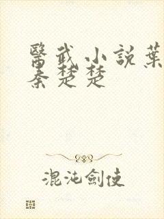 医武小说叶不凡秦楚楚