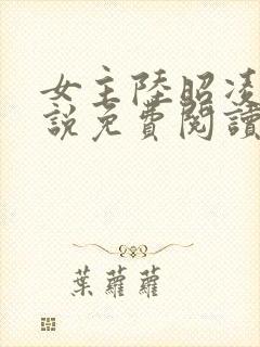 女主陆昭凌的小说免费阅读