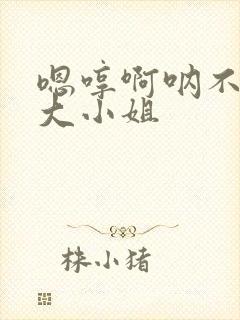 嗯哼啊呐不调教大小姐封面