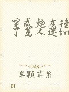 穿成炮灰后我成了万人迷txt