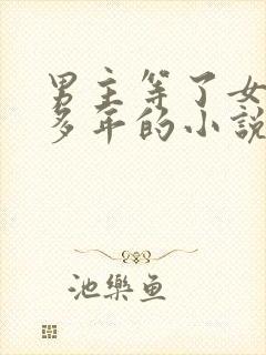 男主等了女主很多年的小说